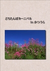 ：dorotanbo-carnival_in-katsuura