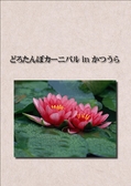 ：dorotanbo-carnival_in-katsuura